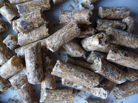 Pellets
